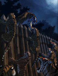 anh-trai-toi-la-ho-48395