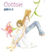 cotton-97840
