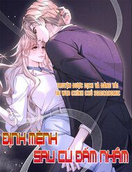 dinh-menh-sau-cu-dam-nham-48262