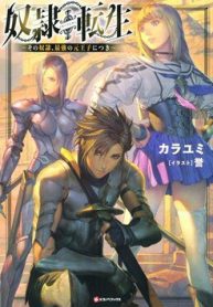 dorei-tensei-sono-dorei-saikyou-no-moto-ouji-ni-tsuki-72540