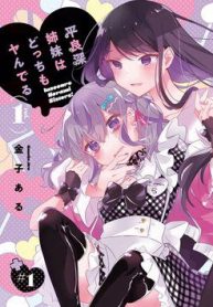 hai-chi-em-nha-herami-bat-on-thuc-su-108178